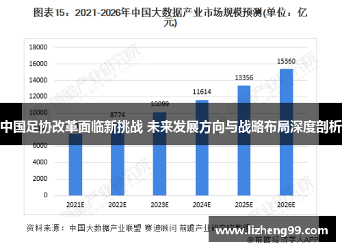 中國(guó)足協(xié)改革面臨新挑戰(zhàn) 未來(lái)發(fā)展方向與戰(zhàn)略布局深度剖析